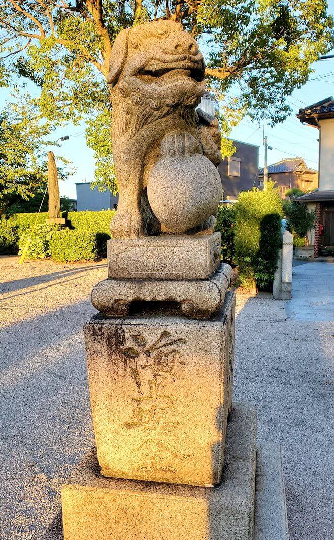 若松区にある若松恵比須神社の狛犬