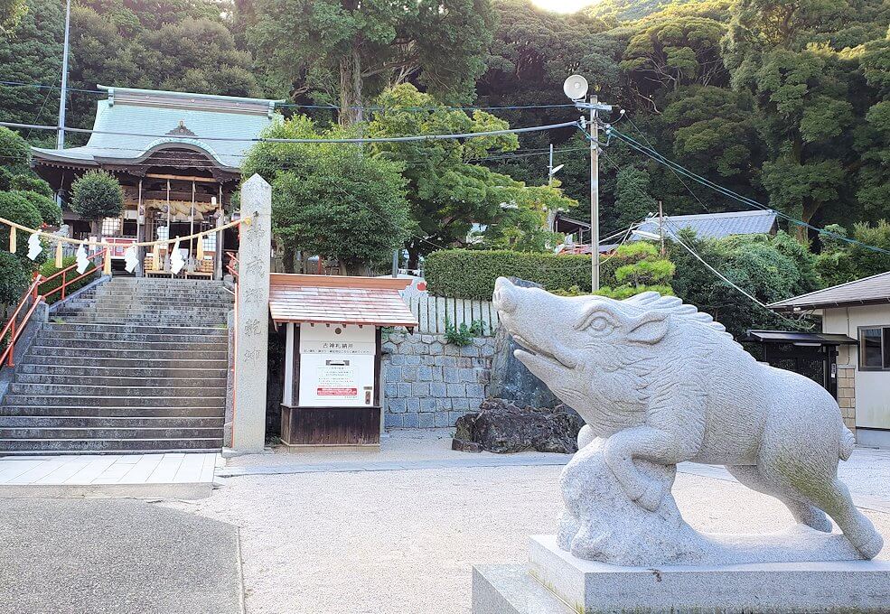 足立山の神社には猪の狛犬がある-1