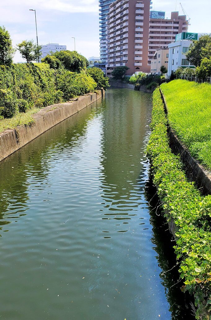 熊本駅前を流れる白川-1