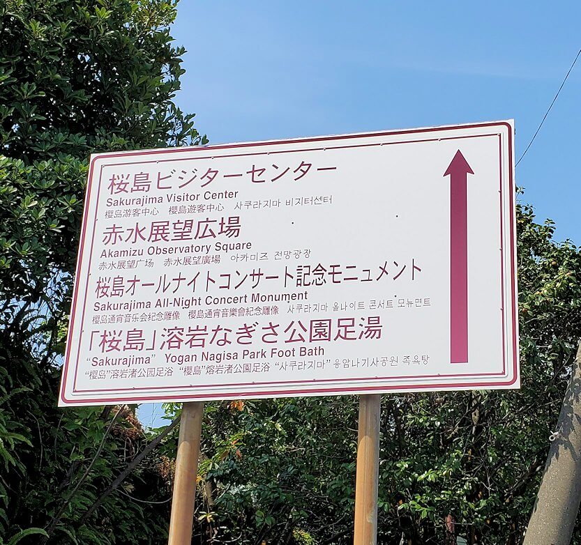 桜島の看板