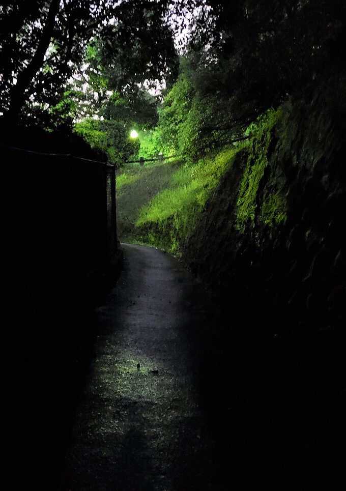 鹿児島市内北側の多賀山に入る暗い道を進む