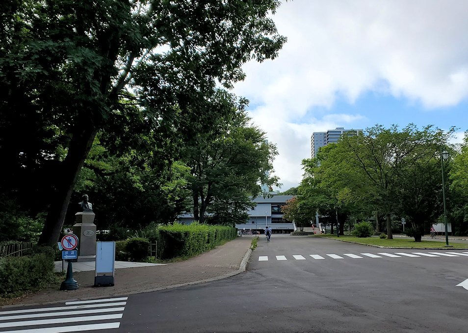 北海道大学構内の景観