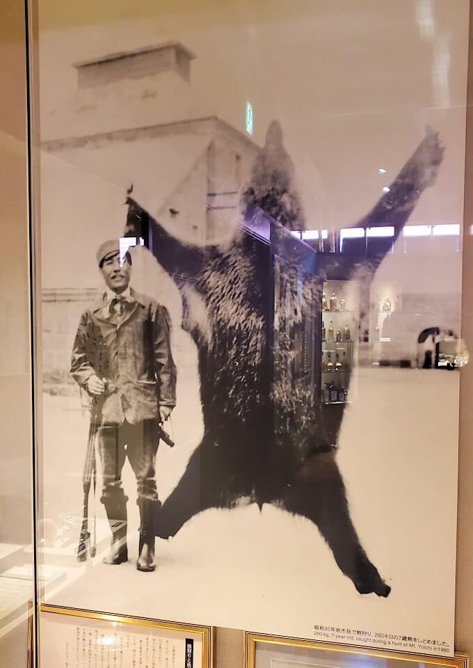 余市ウイスキー博物館にある、熊を捕らえた写真