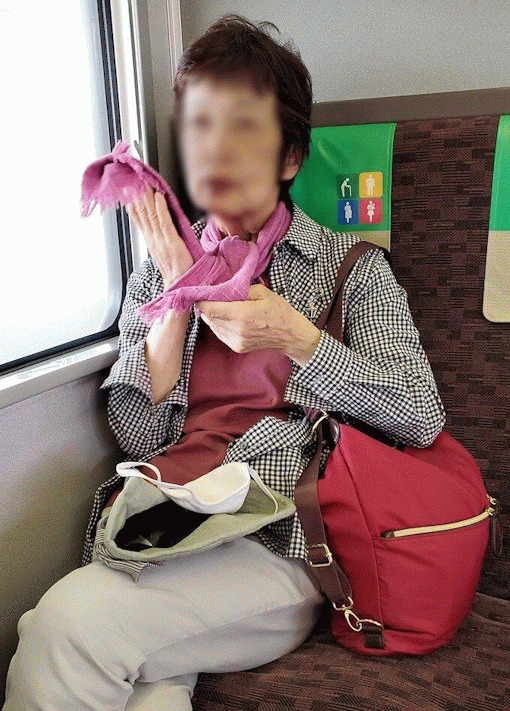 奈良旅を終えてJRの電車に揺られるオカン
