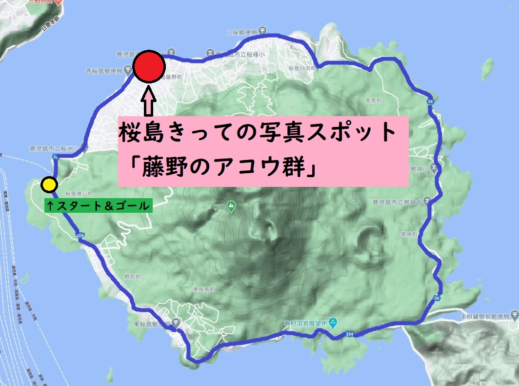 桜島サイクル地図：藤野のアコウ群