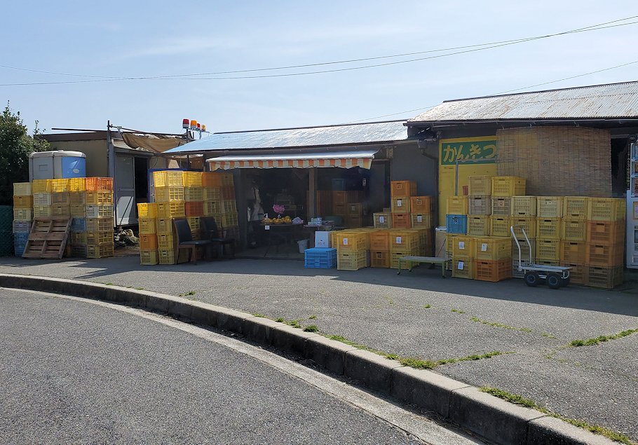 瀬戸内海　生口島　しまなみ海道サイクリング　道路　柑橘類販売所