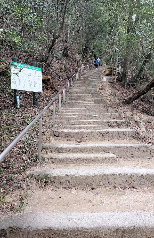 備中松山城　登山道　天守への道　階段