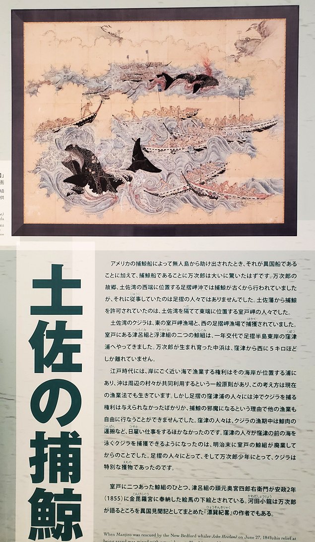 ジョン万次郎資料館　土佐の捕鯨を描いた絵