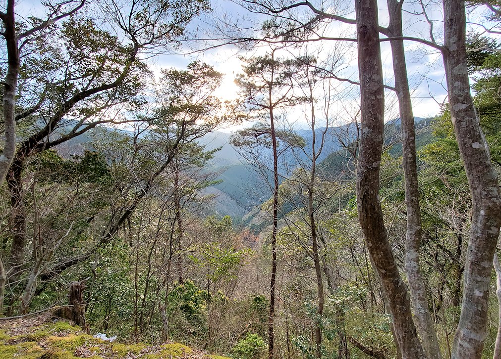 高知県　国道439号線　山林を走る　道路2