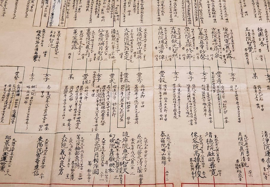 高知城歴史博物館　土佐山内家の家系図　アップ