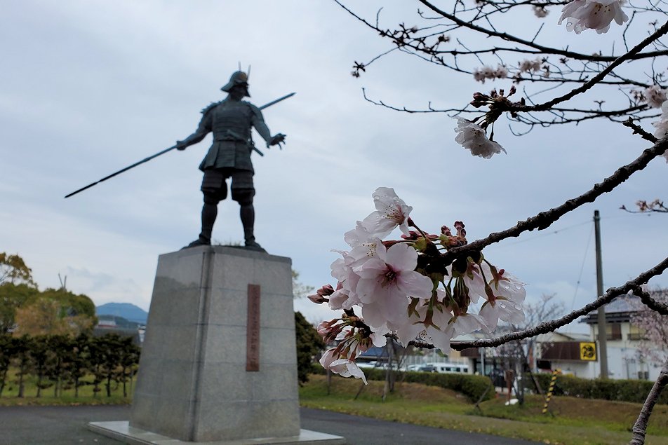 高知市　鎮守の森公園　長宗我部元親の銅像　桜
