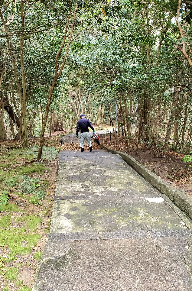 高知市　桂浜　遊歩道　椿の小径　階段