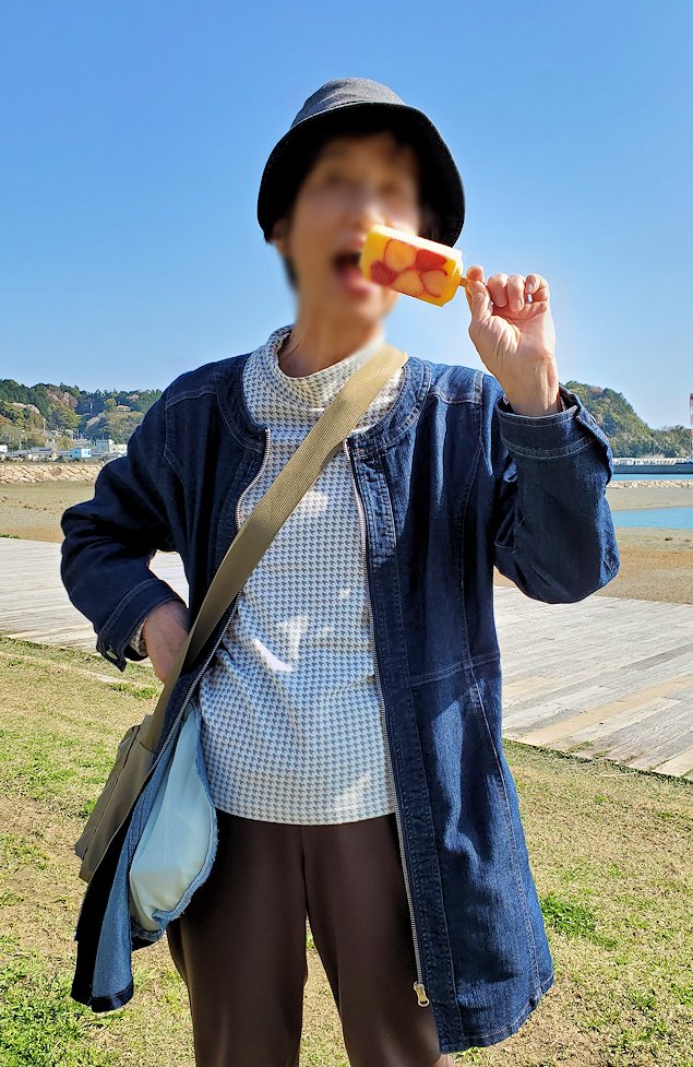 高知県香南市　道の駅「やす」　マナマナ　manamana 　アイスバー　土佐文旦イチゴを食べるオカン