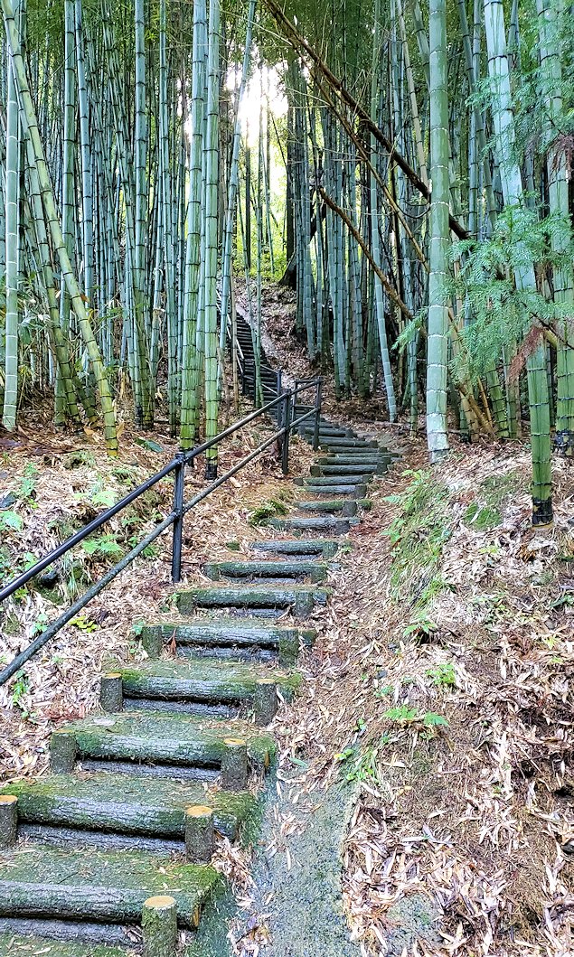 島根県太田市　大森町　世界遺産センターまで戻る遊歩道を進む　階段