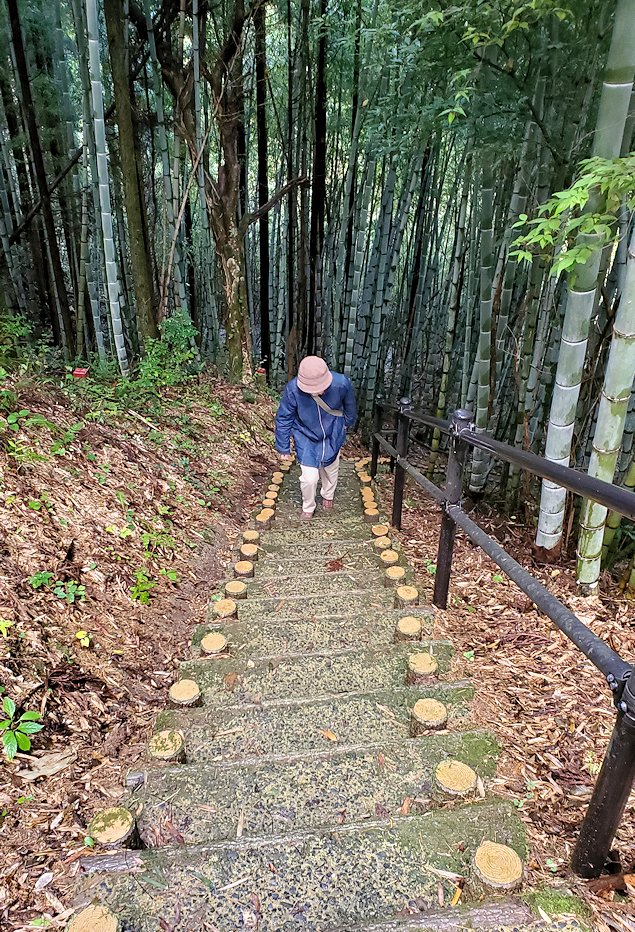 島根県太田市　大森町　世界遺産センターまで戻る遊歩道を進む　登る
