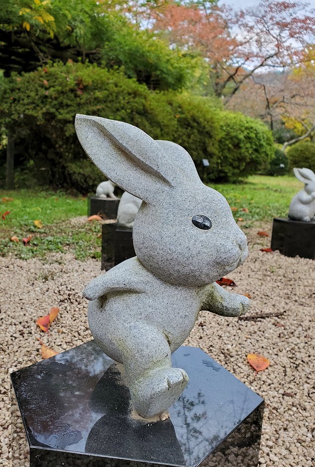 島根県　出雲大社　境内　松の参道の鳥居　ウサギの像4