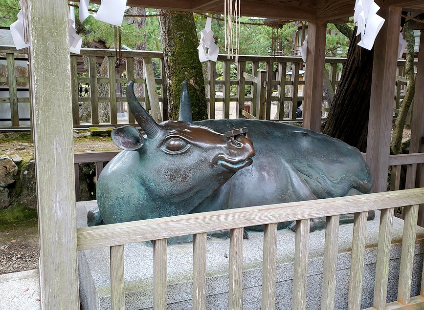 島根県　出雲大社　神牛像