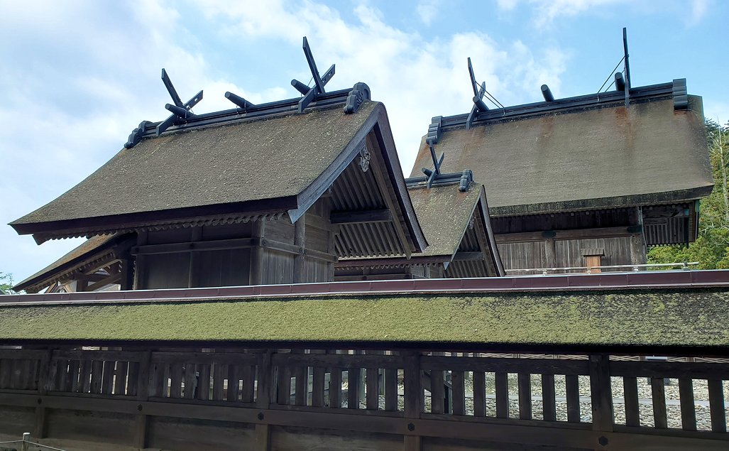 島根県　出雲大社　本殿を眺める