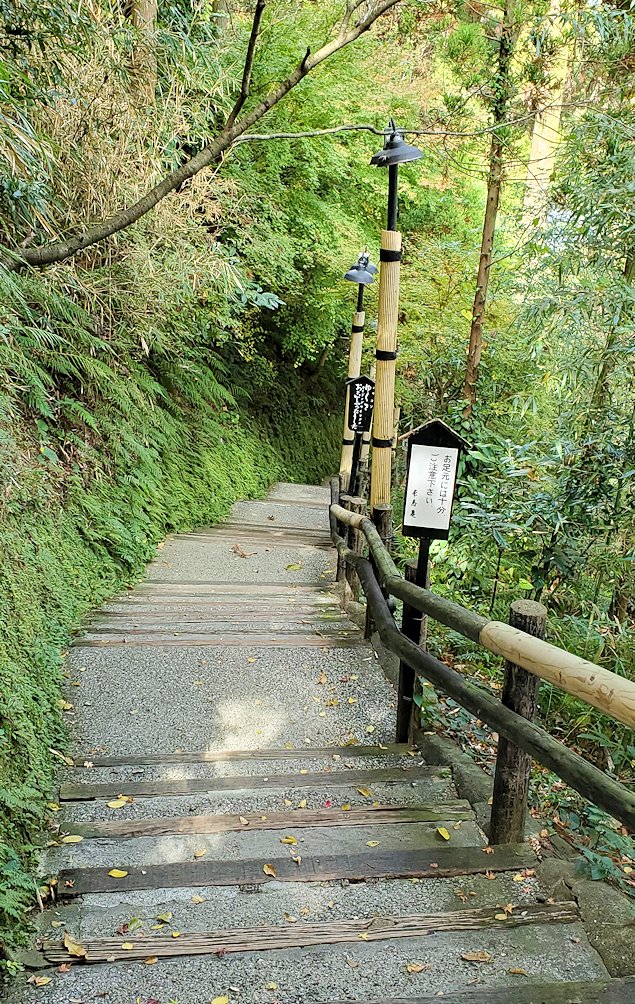 鹿児島県指宿市　唐船峡の階段を下る