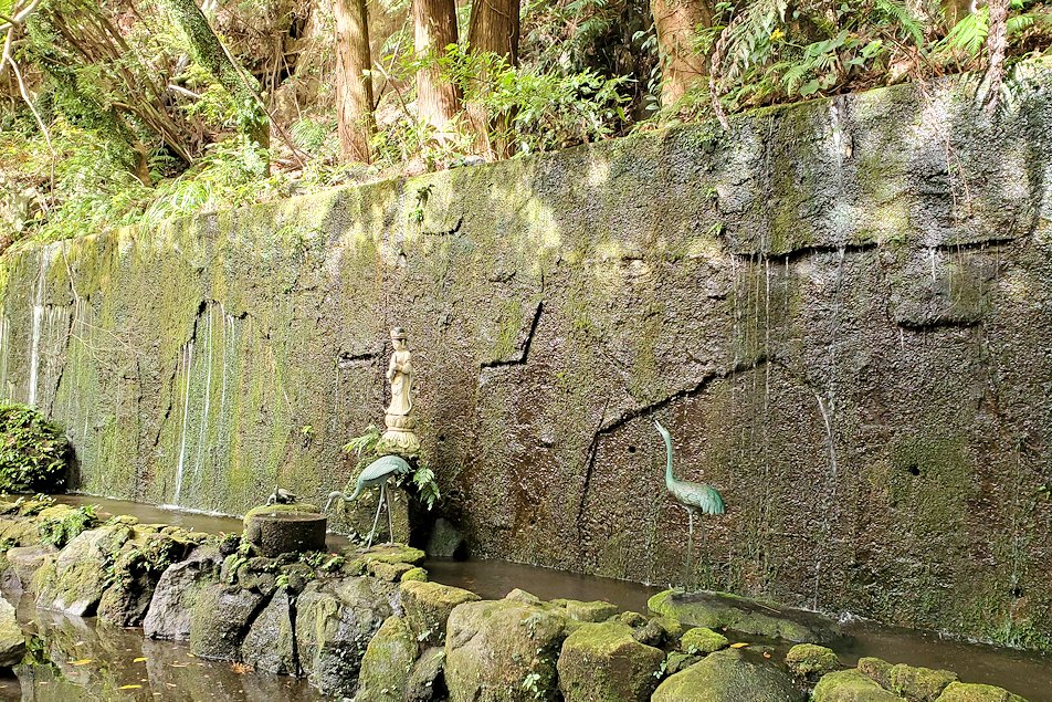 鹿児島県指宿市　唐船峡　湧き水が垂れ流れる壁