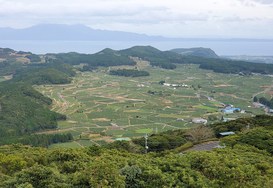 南九州市頴娃町郡　大野岳公園　しろろ山頂展望台　から見える茶畑