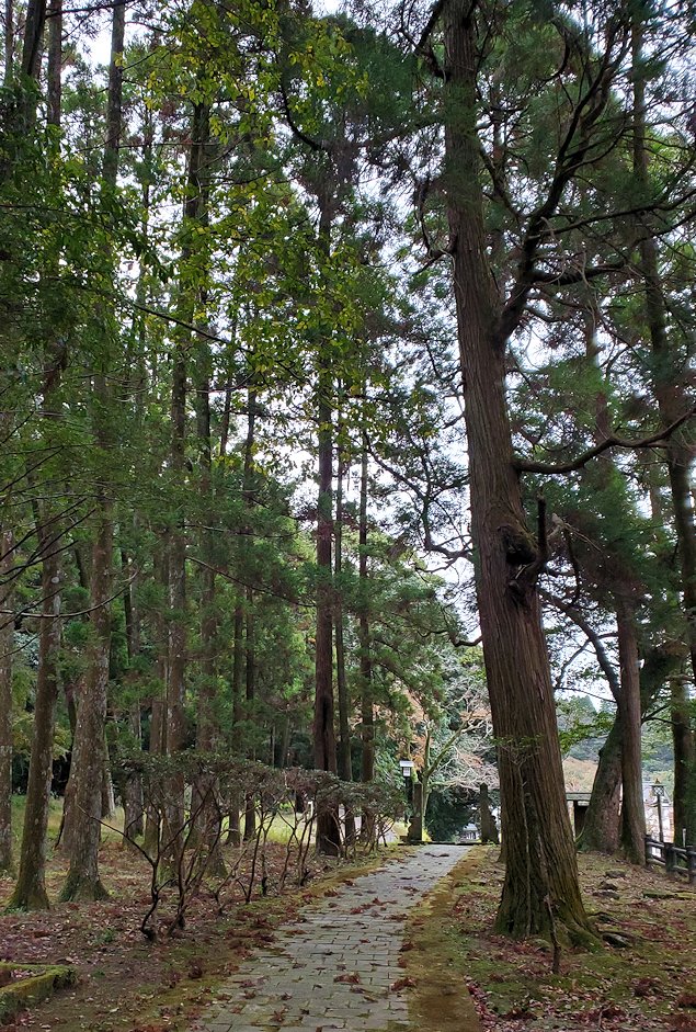 南さつま市　竹田神社　島津日新公の霊廟　帰路の景色