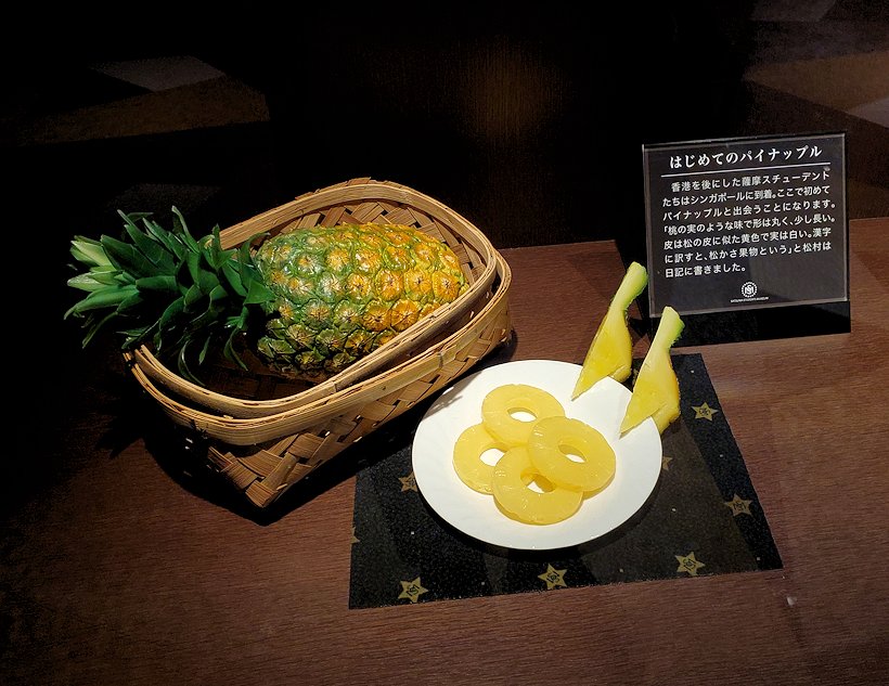 鹿児島県いちき串木野市　薩摩藩英国留学生記念館　留学生が食べたというパイナップルの模型
