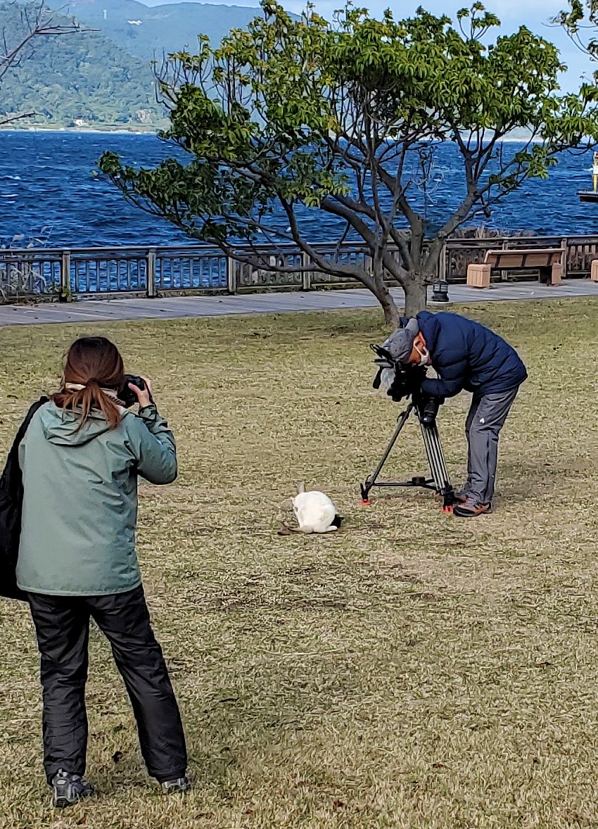 鹿児島 　桜島溶岩なぎさ公園　足湯コーナー近くで猫を撮影していた一団の姿2
