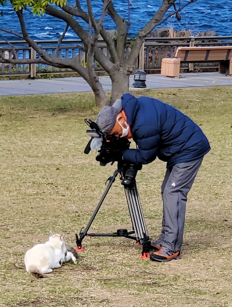 鹿児島 　桜島溶岩なぎさ公園　足湯コーナー近くで猫を撮影していた動物写真家の写真　岩合光昭