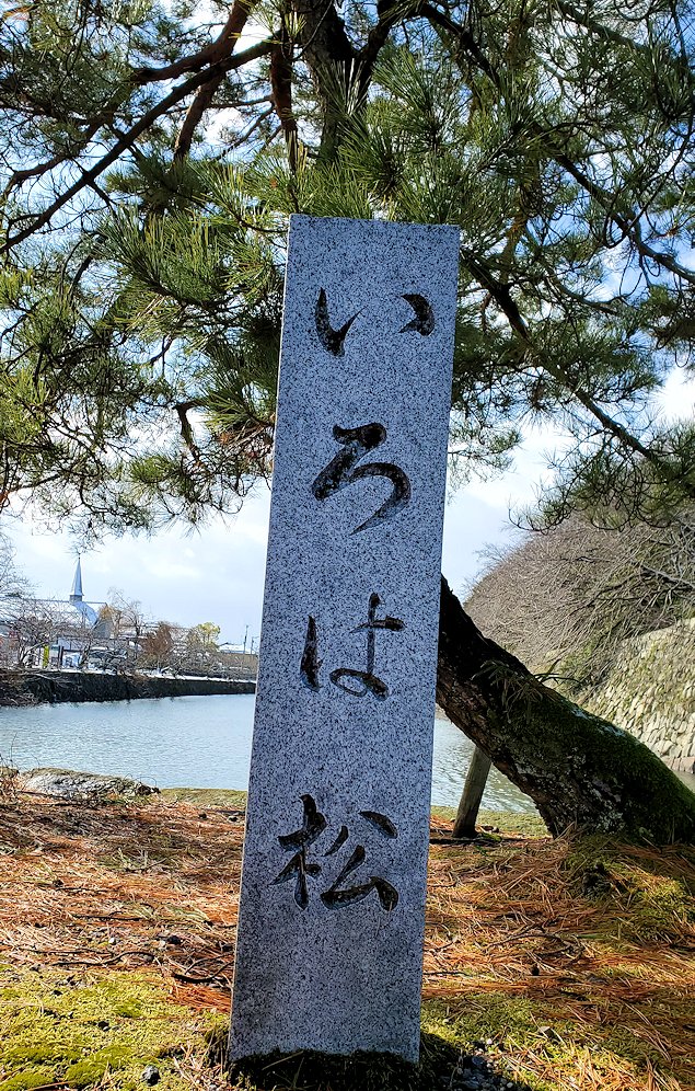 滋賀県　彦根城　外堀　いろは松　石碑