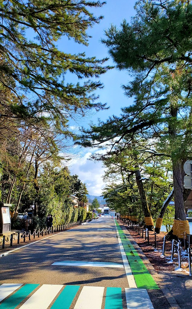彦根城　いろは松　道　景観