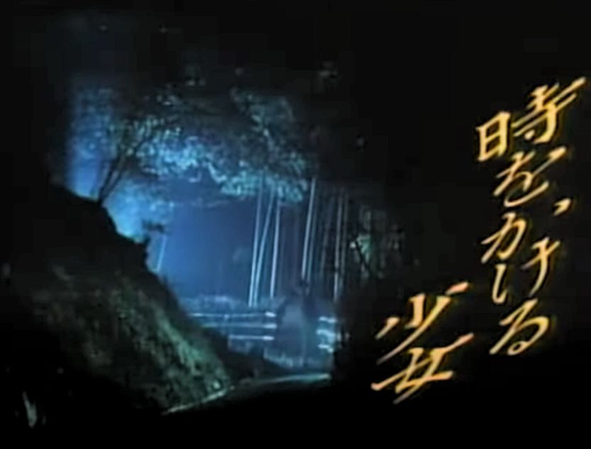 『時をかける少女』(1983) 　階段　映画　ロケ地