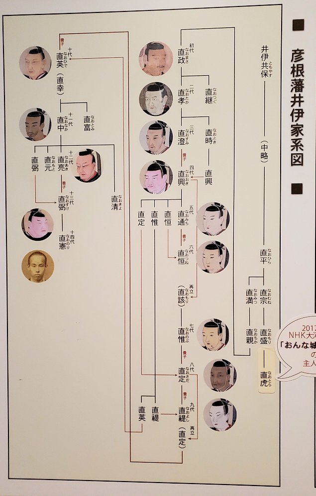 彦根城博物館　井伊家の系譜図