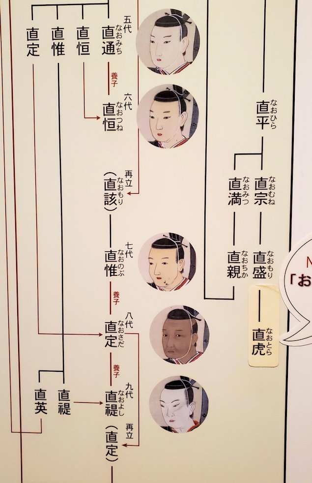彦根城博物館　井伊家の系譜図3