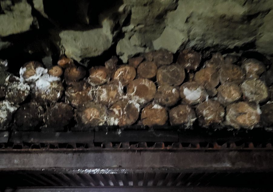 長野市松代町　松代象山地下壕　坑道の天井を支える枕木