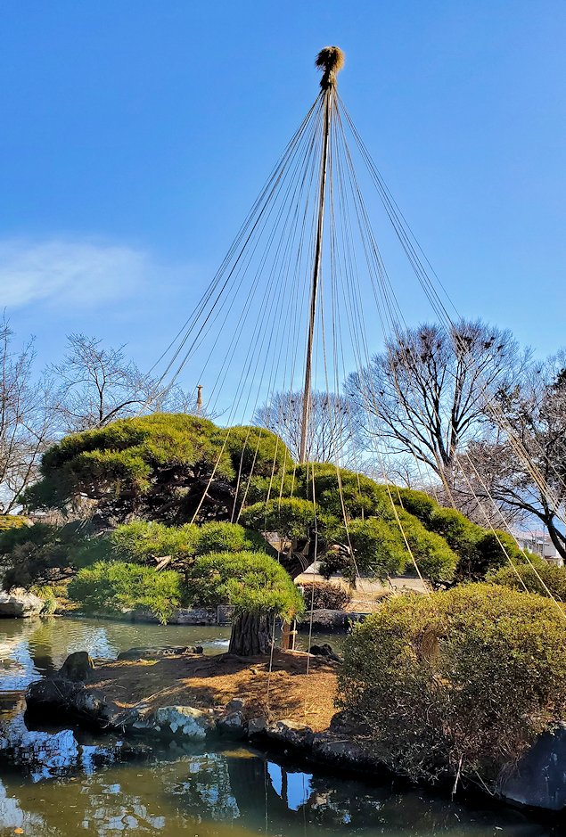 諏訪市　高島城内　本丸の日本庭園の景色2