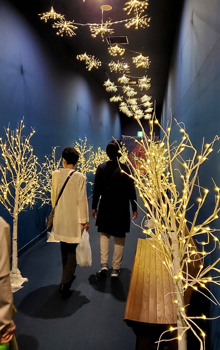 大塚国際美術館　OtsukaArtMuseum　電飾で飾られた通路