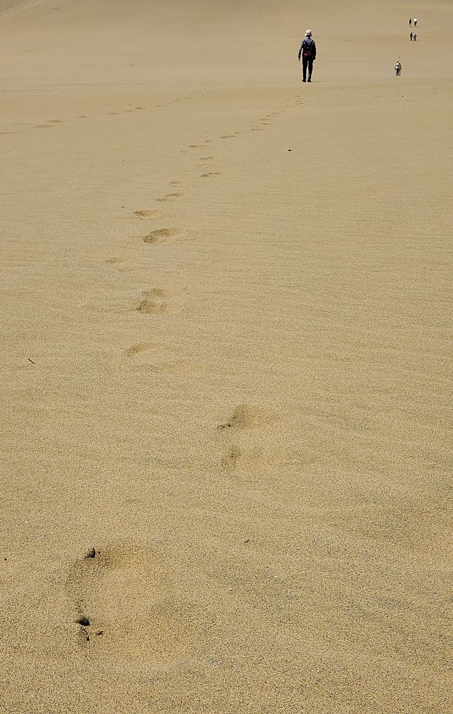 鳥取砂丘　砂に埋もれる足跡