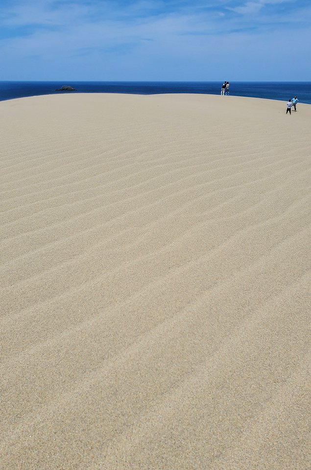 鳥取砂丘　馬の背周辺の砂の表面