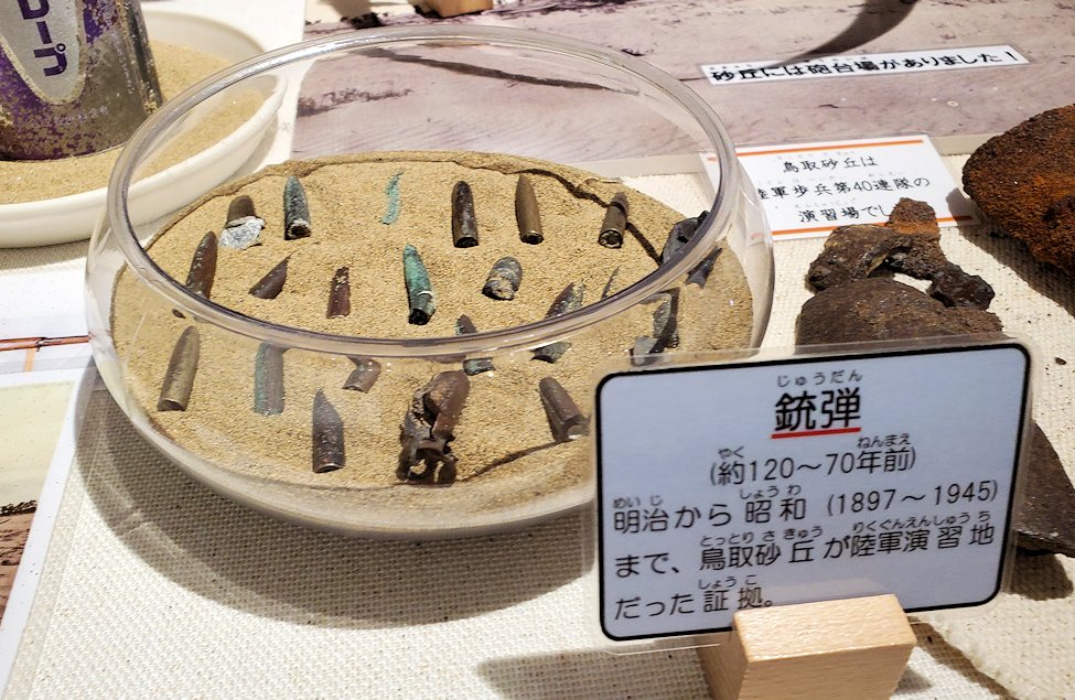 鳥取砂丘　「鳥取砂丘ビジターセンター」　展示資料　砂丘から見つかった銃弾2
