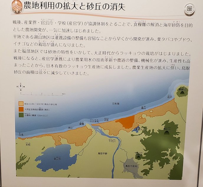 鳥取砂丘　「鳥取砂丘ビジターセンター」　展示資料　砂丘の移り変わり