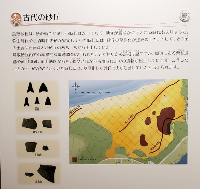 鳥取砂丘　「鳥取砂丘ビジターセンター」　展示資料　古代の砂丘の絵