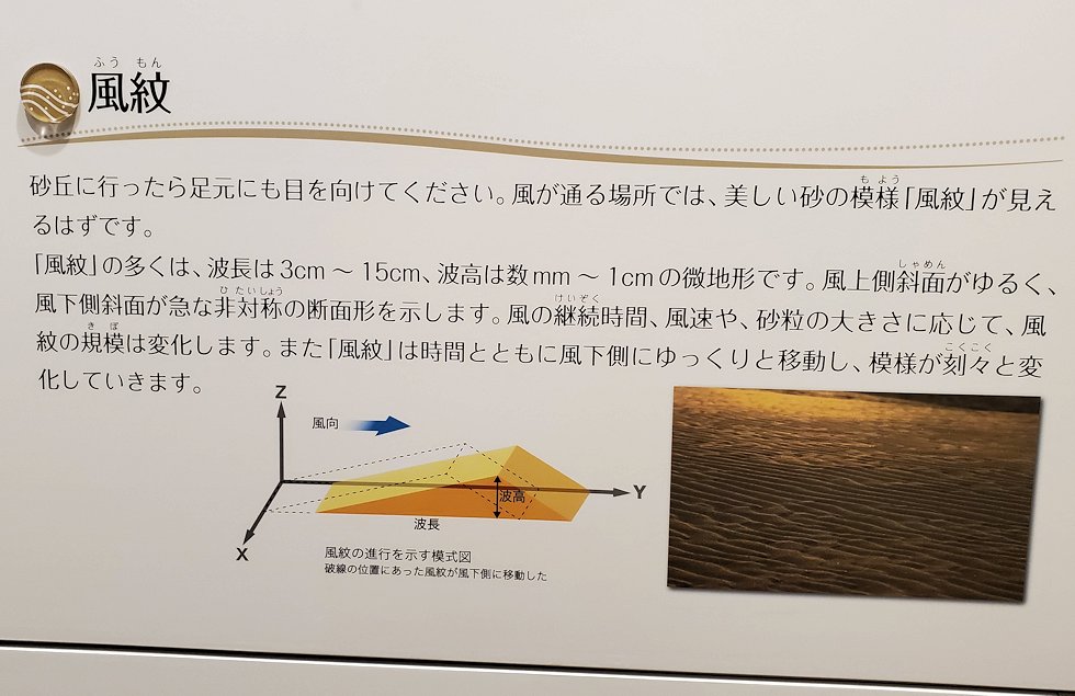 鳥取砂丘　「鳥取砂丘ビジターセンター」　展示資料　風紋