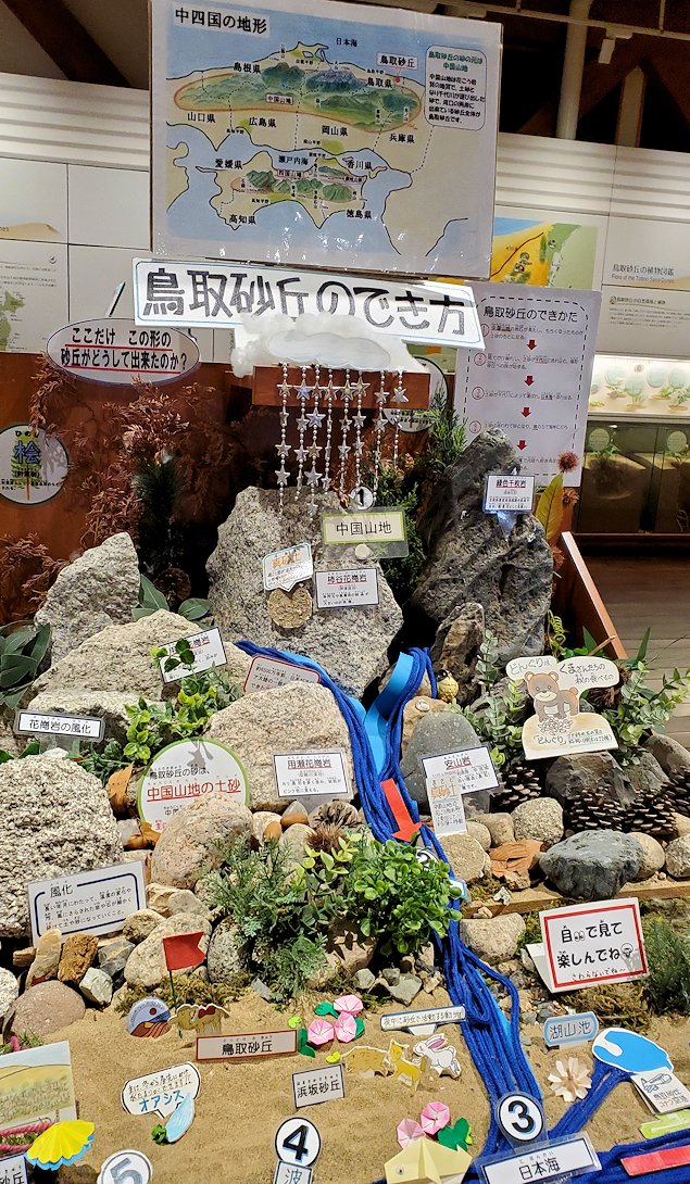 鳥取砂丘　「鳥取砂丘ビジターセンター」　展示資料　砂丘が形成される出来かた