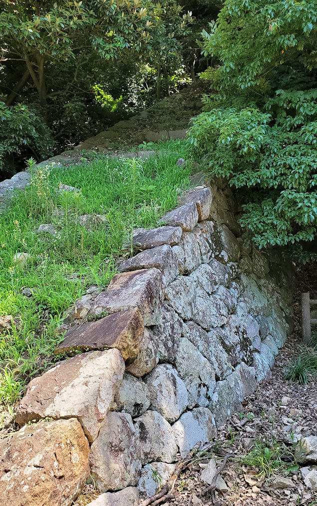 鳥取城跡　二ノ丸付近　登り石垣を眺める