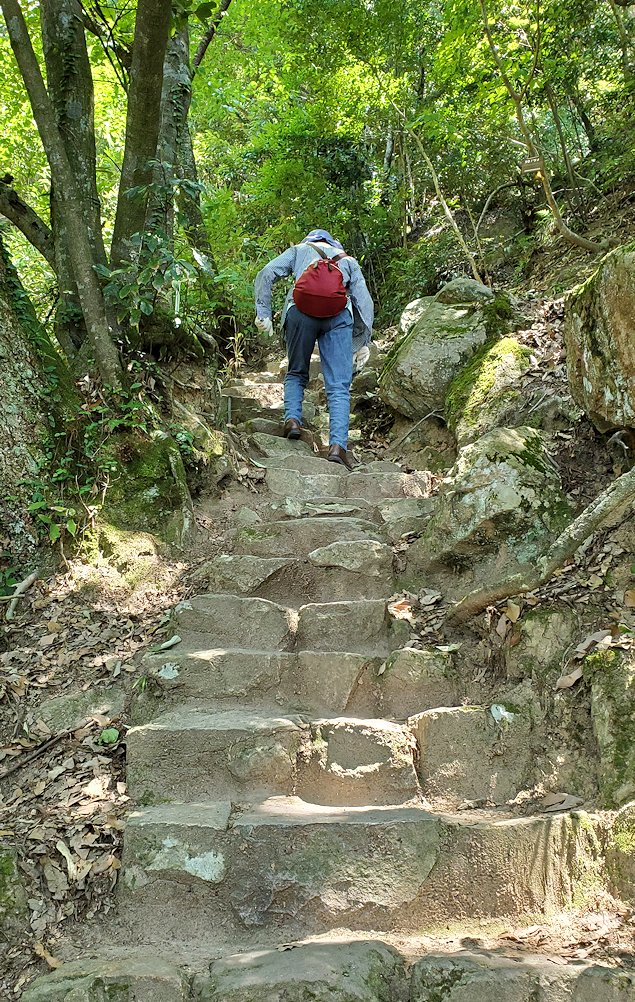鳥取城跡　登山道　「四合目」の階段を進むオカン