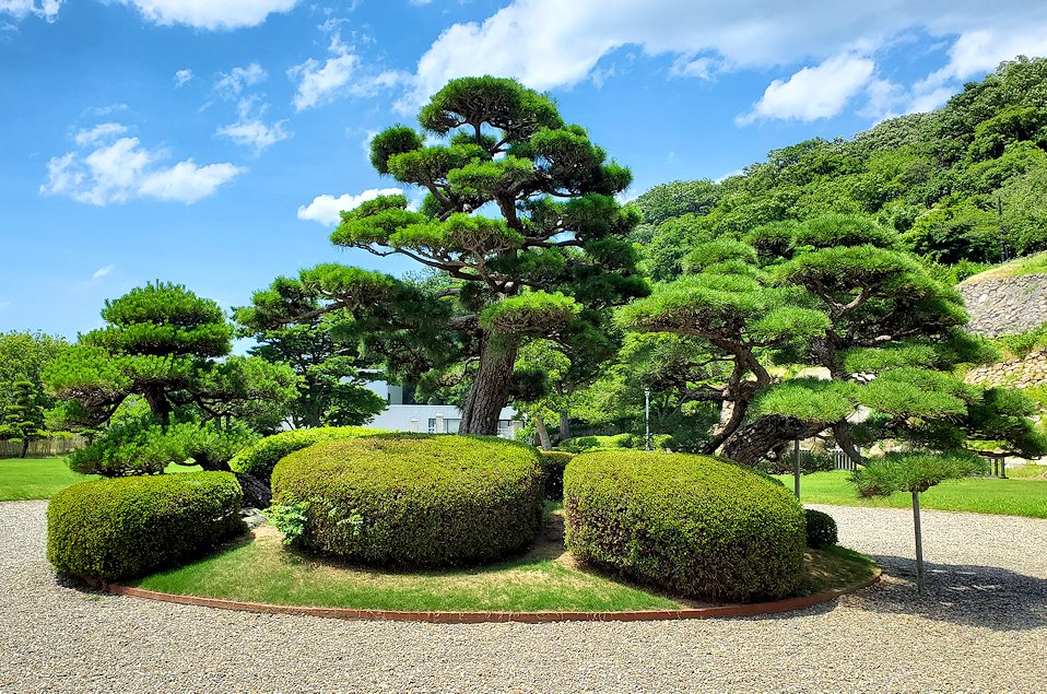 鳥取市内　仁風閣の建物前の植木