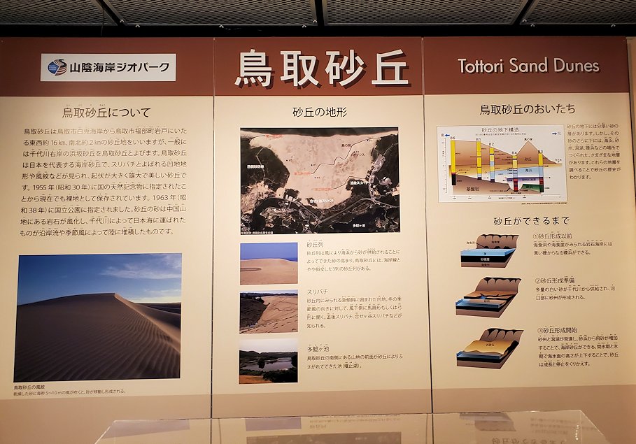 鳥取県立博物館　常設展示室　鳥取砂丘の説明