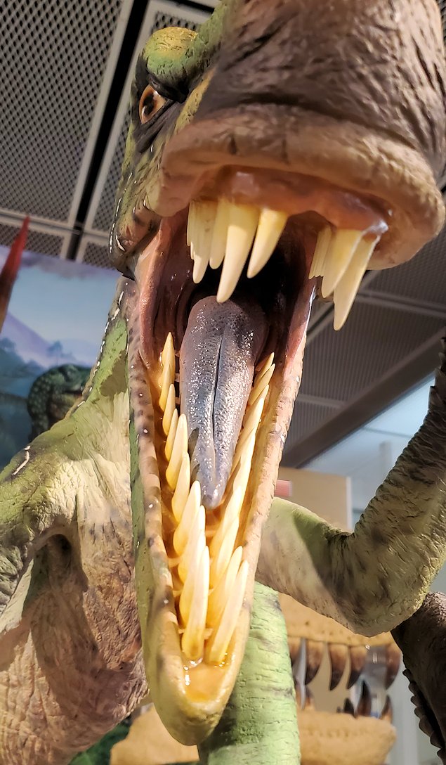鳥取県立博物館　常設展示室　恐竜復元模型　デイノニクスの口