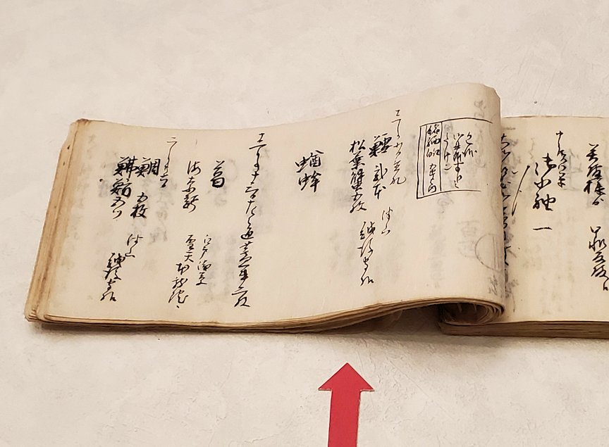 鳥取県立博物館　「松葉ガニ」初見の資料